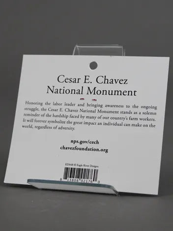 CCNM Patch