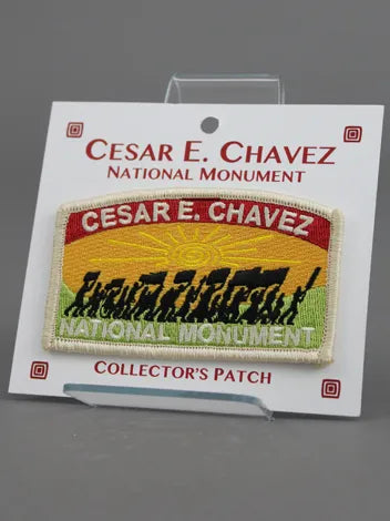 CCNM Patch