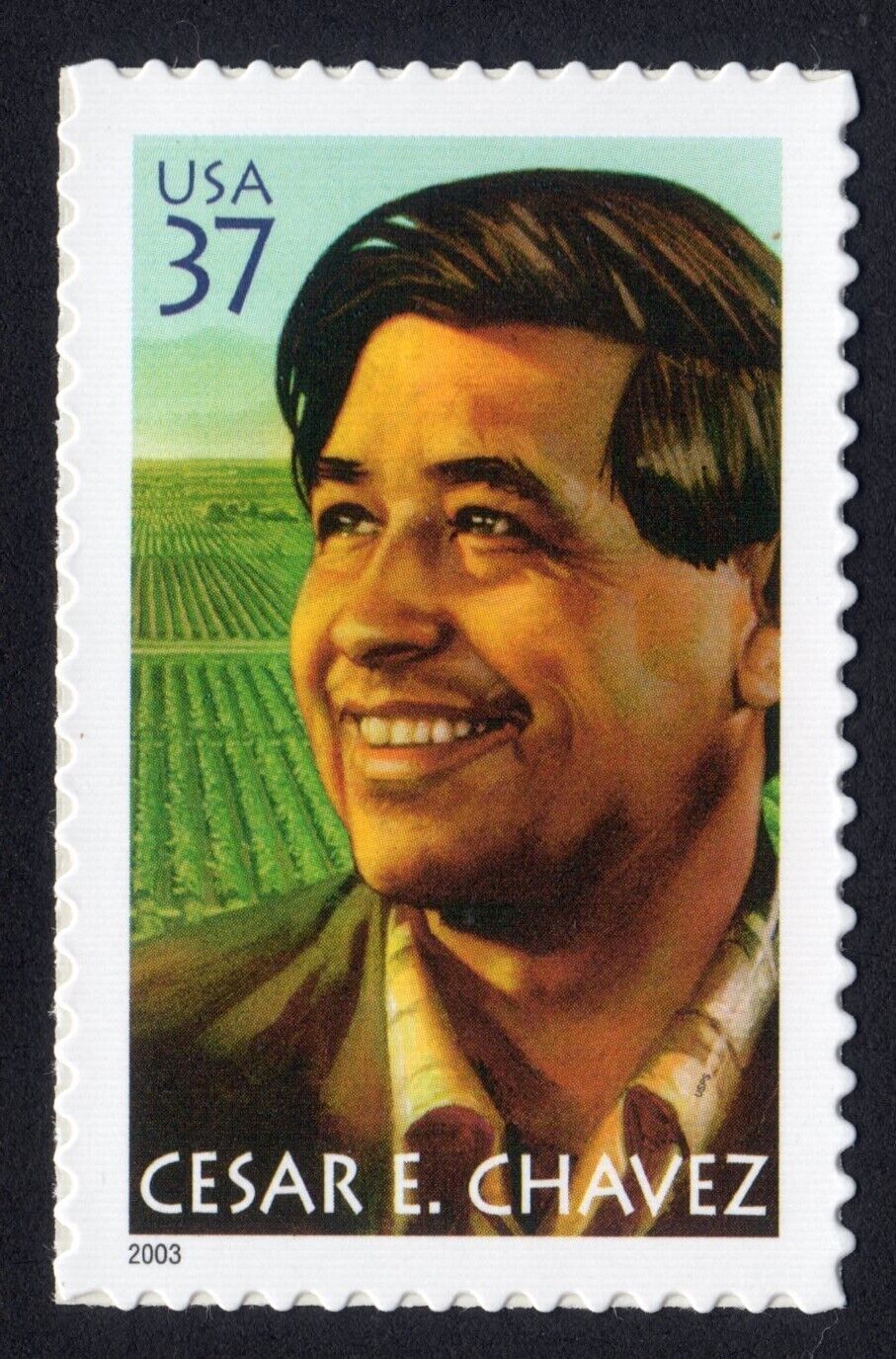 CEC - Stamp Poster