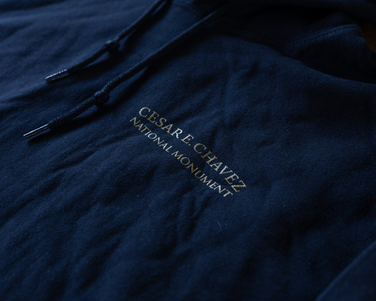 CCNM Hoodie