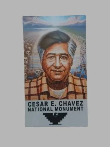 Ocampo Magnet