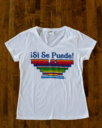 Sarape V